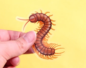 Centipede Clear Vinyl Sticker | 2.12 x 3 inches | Transparent, Durable, Waterproof, Scratch-Resistant Nature Themed Creepy Bug Decal