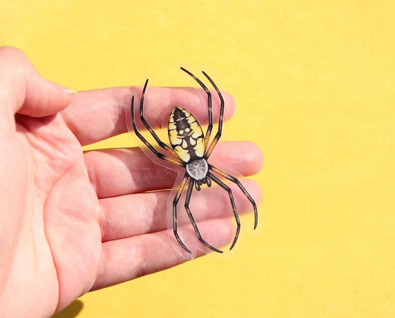 May include: A clear sticker of a yellow and black spider with a white abdomen. The spider is on a yellow background.