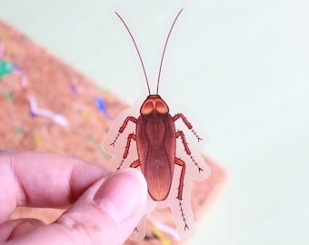Cockroach Clear Vinyl Sticker | 3 inches tall | Transparent, Durable, Waterproof, Scratch-Resistant Bug & Insect Decal Gag Gift and Prank
