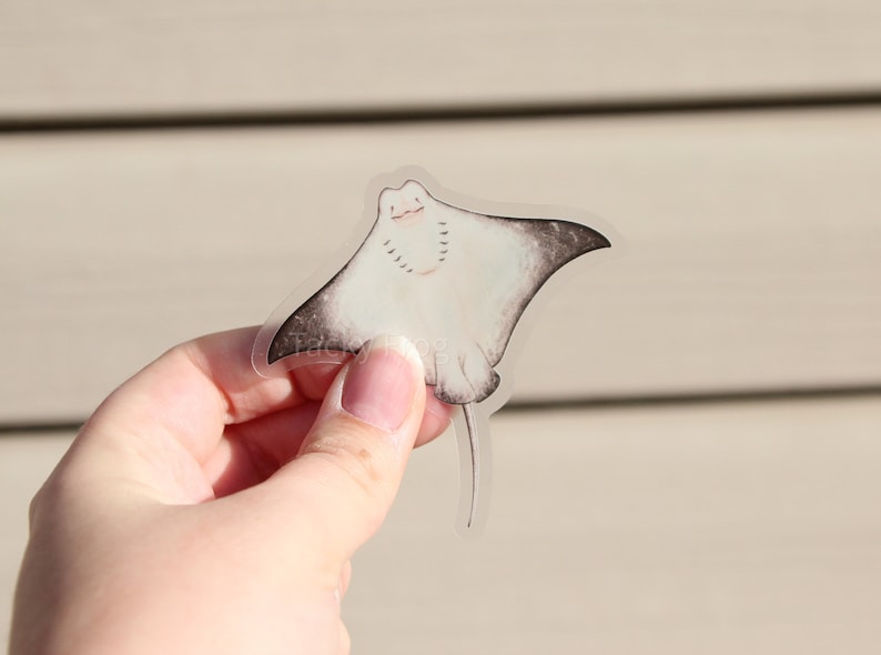 Peut inclure: Un autocollant transparent repr&eacute;sentant une raie manta souriante de dessin anim&eacute;. La raie a un corps blanc avec des pointes d'ailes grises et une longue queue. L'autocollant est tenu par une main sur un fond flou.