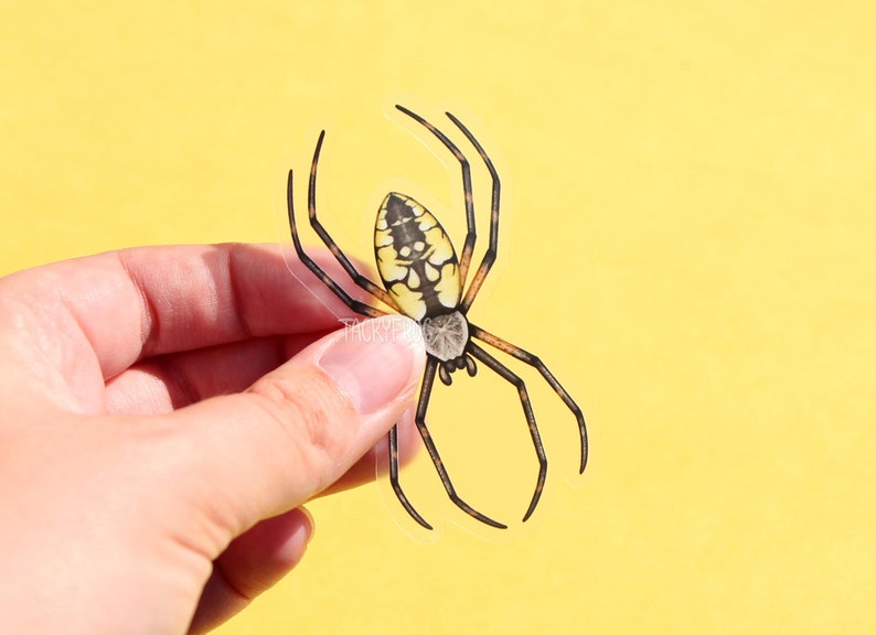 May include: A clear sticker of a yellow garden spider with black markings. The spider is shown in a realistic style with its legs outstretched.