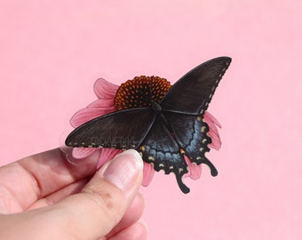 Black Swallowtail Butterfly on Coneflower Clear Vinyl Sticker | 3 x 2.5 inches | Transparent, Durable, Waterproof Nature, Garden Bug Decal