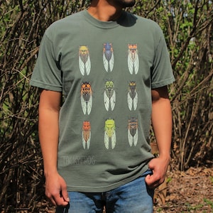 May include: Olive green t-shirt featuring a collection of colorful cicada illustrations. The insects are depicted with detailed wings and body patterns. The text "TOOKSY FROG" is printed below the insects.
