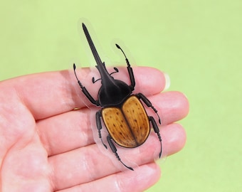 Hercules Beetle Clear Vinyl Sticker | 3 x 1.35 in. | Transparent, Durable, Waterproof, Scratch-Resistant Nature Themed Bug & Insect Decal