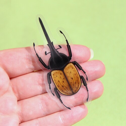 Hercules Beetle Clear Vinyl Sticker | 3 x 1.35 in. | Transparent, Durable, Waterproof, Scratch-Resistant Nature Themed Bug & Insect Decal
