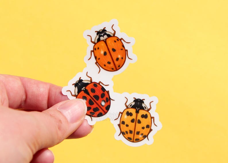 Ladybugs Clear Vinyl Sticker | Transparent, Durable, Waterproof Orange ...