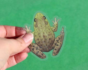 Bullfrog Clear Vinyl Sticker | 3 x 2.8 inches | Transparent, Durable, Waterproof Realistic Earth Tone Nature, Green Pond Animal Decal