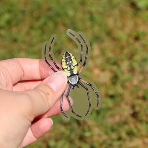 May include: A clear sticker of a yellow and black spider with a white abdomen. The spider is shown in a web-like pose with its legs spread out.