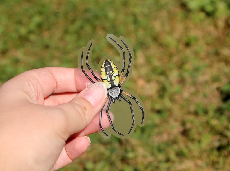 May include: A clear sticker of a yellow and black spider with a white abdomen. The spider is shown in a web-like pose with its legs spread out.
