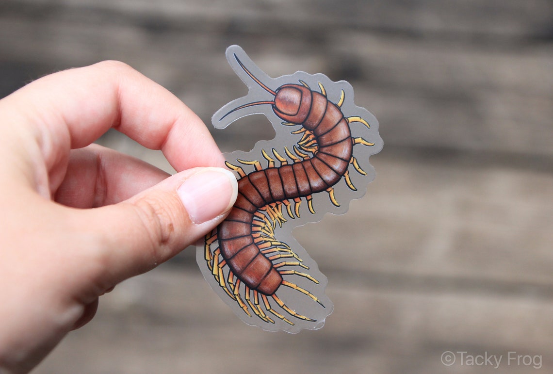 Centipede Clear Vinyl Sticker 2.12 X 3 Inches Transparent Etsy