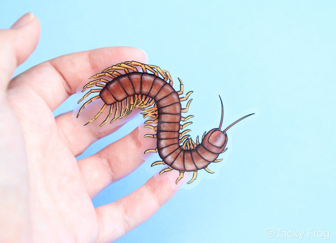 Centipede Clear Vinyl Sticker 2.12 X 3 Inches Transparent, Durable