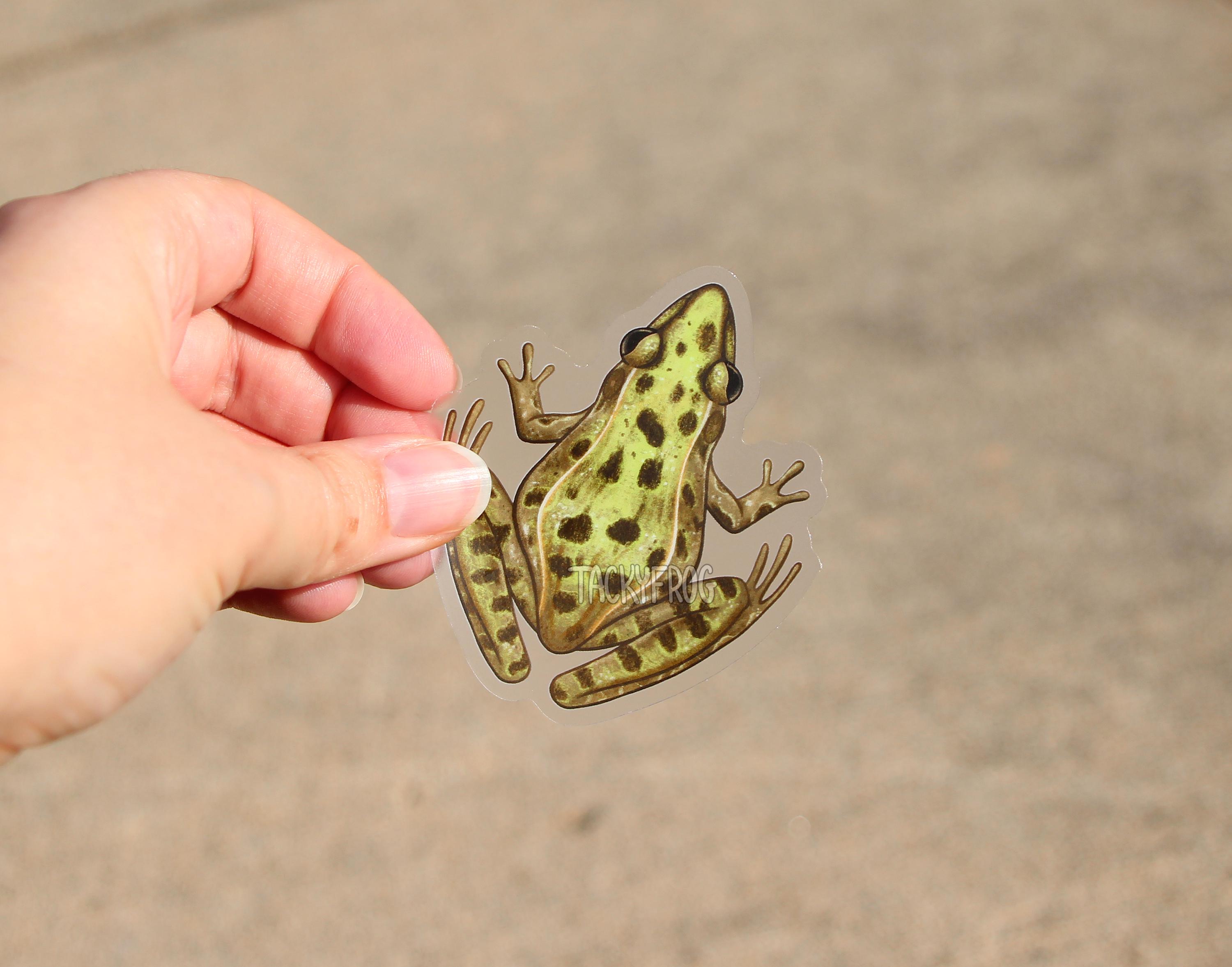 Leopard Frog Clear Vinyl Sticker | 3 X 2.6 Inches | Transparent ...