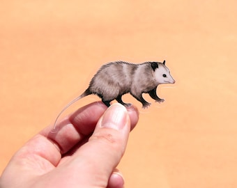 Opossum Clear Vinyl Sticker | 3 x 1.4 Inches | Transparent, Durable, Waterproof Nature and Wildlife Animal Decal of Cute Virginia Opossum