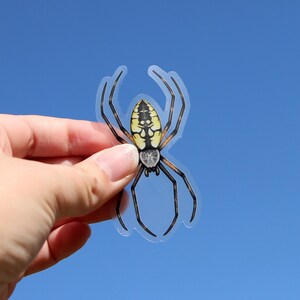 May include: A clear sticker featuring a detailed illustration of a yellow and black spider. The spider has a large abdomen with yellow and black markings. The sticker is ideal for adding a touch of nature to your belongings.