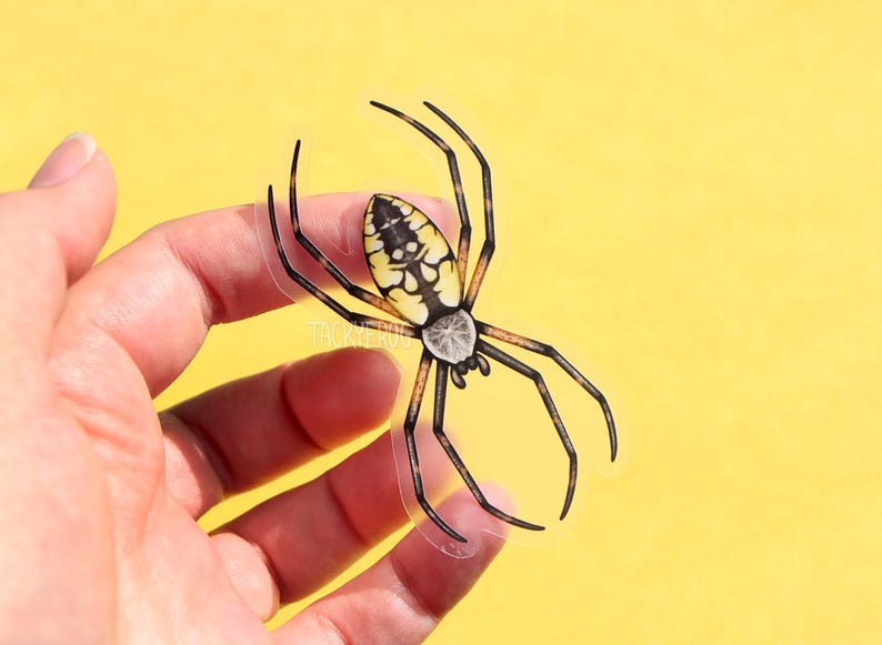 May include: A clear sticker of a yellow and black spider with a white abdomen. The spider is on a yellow background.