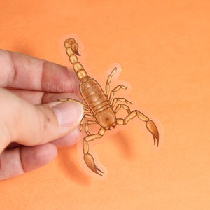 Tan Scorpion Clear Vinyl Sticker | 3 x 1.87 inches | Transparent, Durable, Waterproof Nature Themed Spooky Orange Bug Decal for Halloween
