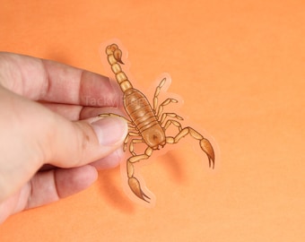 Tan Scorpion Clear Vinyl Sticker | 3 x 1.87 inches | Transparent, Durable, Waterproof Nature Themed Spooky Orange Bug Decal for Halloween