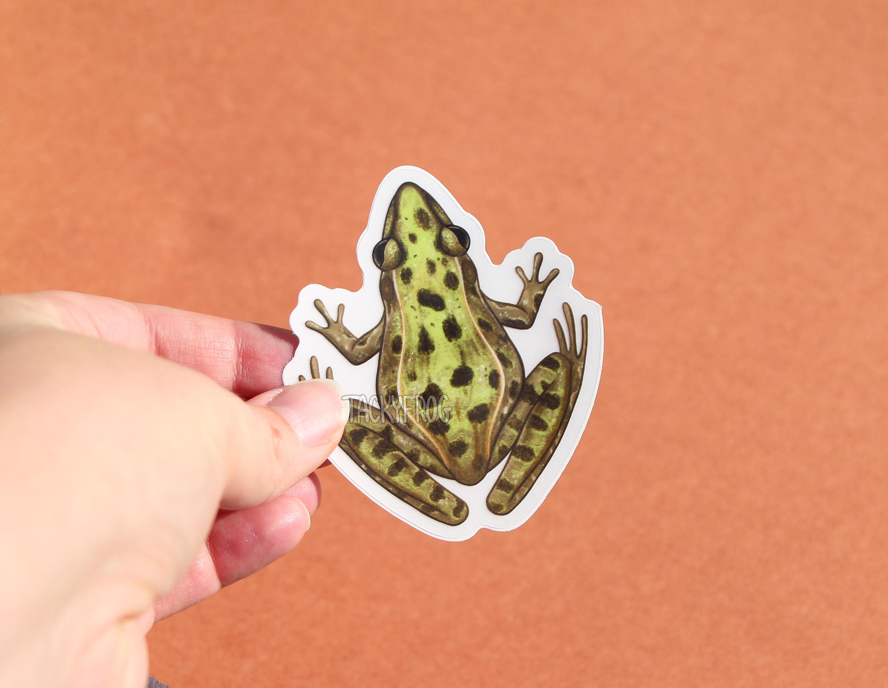 Leopard Frog Clear Vinyl Sticker | 3 X 2.6 Inches | Transparent ...