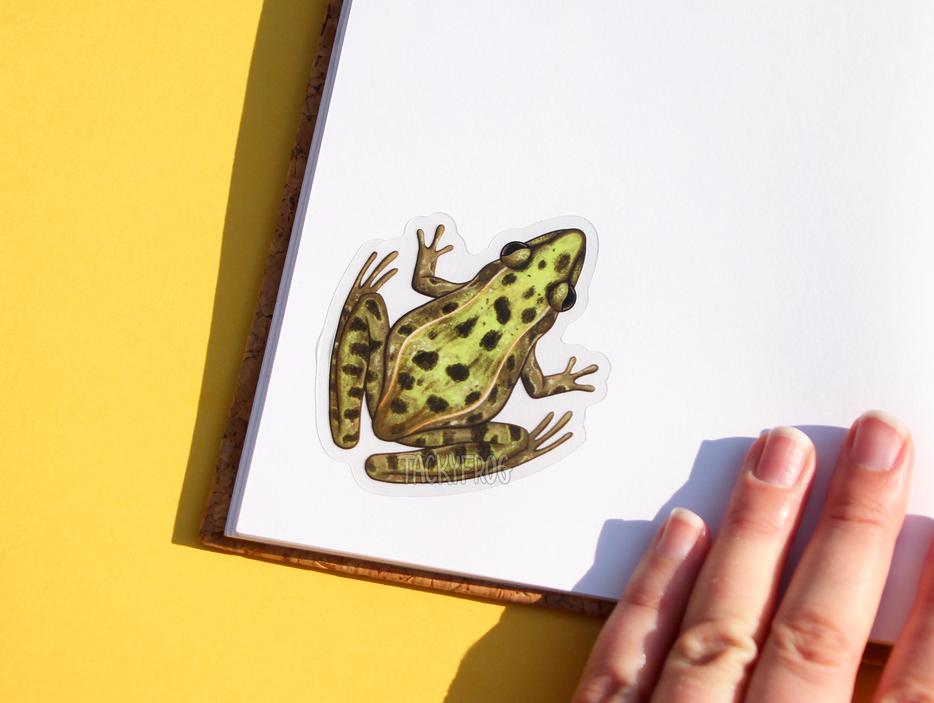 Leopard Frog Clear Vinyl Sticker | 3 X 2.6 Inches | Transparent ...