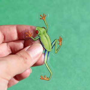 Red-eyed Tree Frog Clear Vinyl Sticker | 3 X 1.68 Inches | Transparent ...