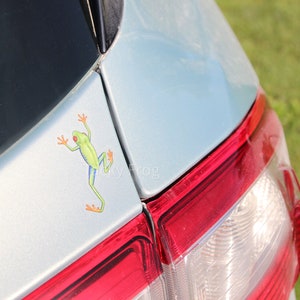 Red-eyed Tree Frog Clear Vinyl Sticker | 3 X 1.68 Inches | Transparent ...