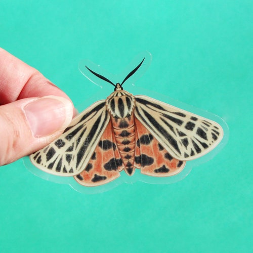 Tiger Moth Clear Vinyl Sticker | 3 x 1.94 inches | Transparent, Durable, Waterproof, Scratch-Resistant Nature Themed Bug & Insect Decal