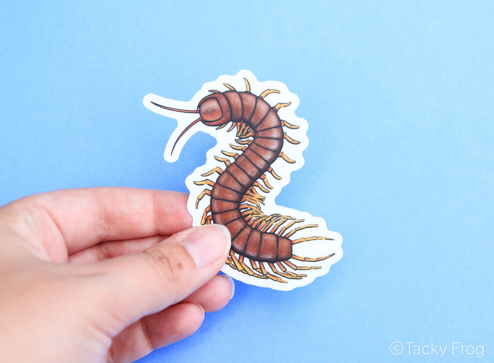 Centipede Clear Vinyl Sticker 2.12 X 3 Inches Transparent Etsy