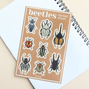 Beetles 4x6" Sticker Sheet | Kiss-Cut & Scratch-Resistant Bug, Insect Nature Decals for Laptop, Stationary, and More | Remove Carefully!