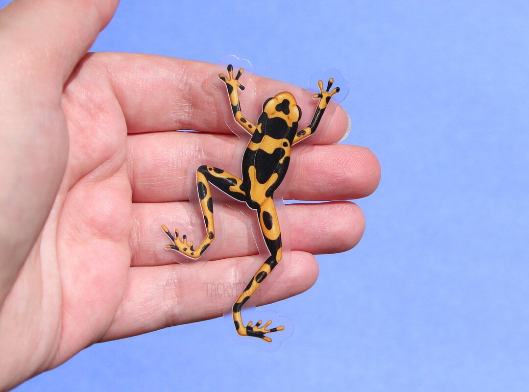 Yellow Frog Sticker Yellow Dart Frog Clear Vinyl Sticker | 3 X 1.77 Inches | Transparent ...