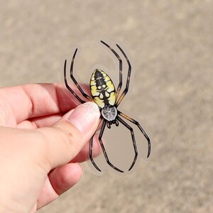 May include: A clear sticker featuring a black and yellow spider. The spider is a garden spider with a black and yellow pattern on its abdomen.