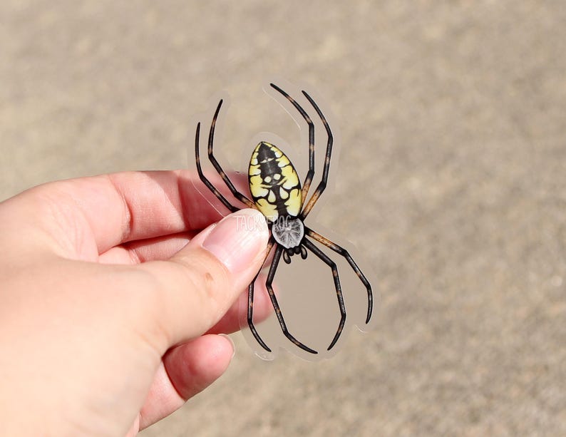 May include: A clear sticker featuring a black and yellow spider. The spider is a garden spider with a black and yellow pattern on its abdomen.