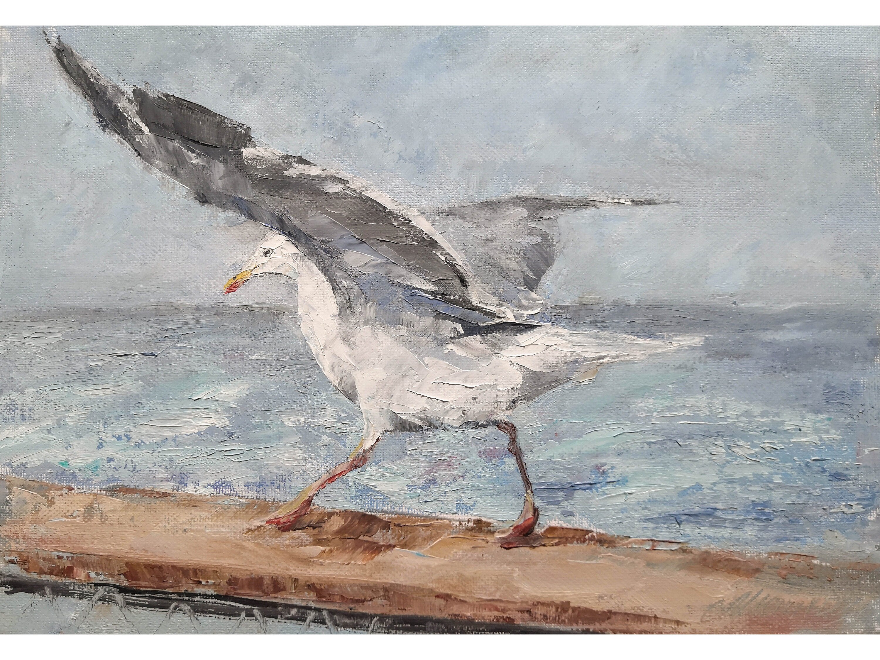 Seagull Painting Original Beach Bird Artwork on Canvas Small Etsy