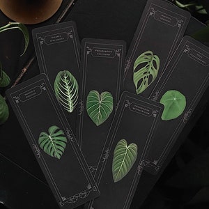 Bookmark of Botanical Leaves | Soft Touch Paper | Custom Tassel Color | 6 Different Plant leaf Design Options