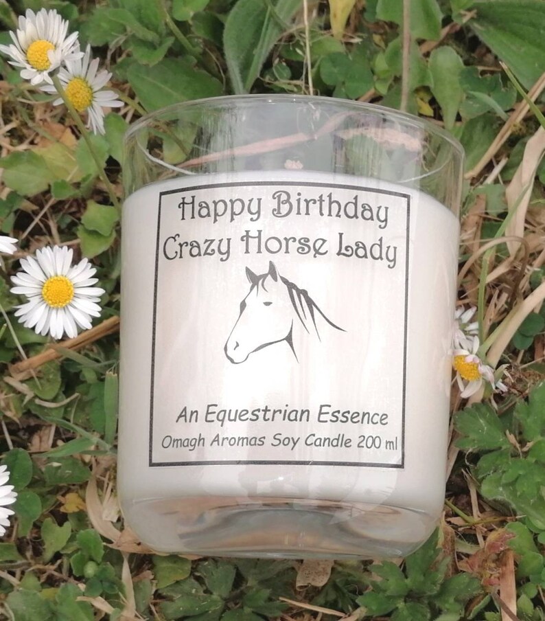 Horse gift, Scented soy candle, farmer gift, Horse lover,gift wrapped, Funny gift, Novelty gift, Animal lover gift, vanilla candle, coconut image 2