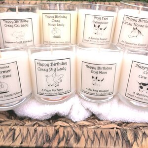 Horse gift, Scented soy candle, farmer gift, Horse lover,gift wrapped, Funny gift, Novelty gift, Animal lover gift, vanilla candle, coconut image 6