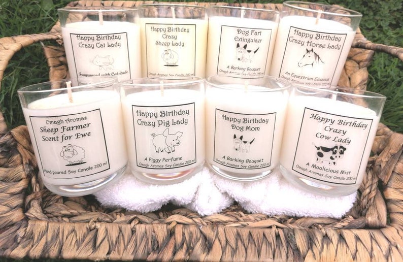 Horse gift, Scented soy candle, farmer gift, Horse lover,gift wrapped, Funny gift, Novelty gift, Animal lover gift, vanilla candle, coconut image 6