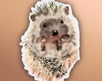 May include: A sticker of a charming hedgehog illustration. The hedgehog has a light grey and brown body, a black nose, and tiny paws. The sticker has a white border and is set against a warm brown background.