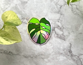 May include: A green and iridescent holographic sticker of a monstera leaf.