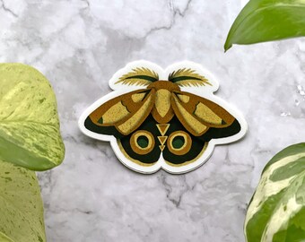 May include: A sticker of a moth with brown and yellow wings and green eyes. The moth has a white background and is surrounded by a white border.