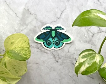 May include: A sticker of a green and blue moth with a geometric pattern on its wings. The moth has large, round eyes.