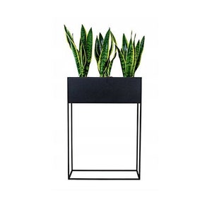 Puede incluir: Soporte para plantas de metal negro con una jardinera rectangular. Tres plantas verdes con rayas amarillas est&aacute;n en la jardinera.