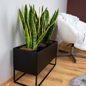 Puede incluir: Un macetero de metal negro con tres plantas serpiente en macetas. El macetero tiene una forma rectangular con una base cuadrada y est&aacute; sentado en un suelo de madera.