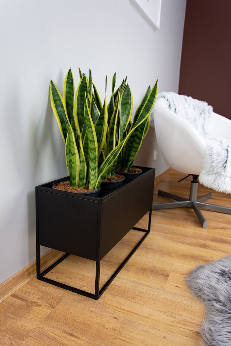 Puede incluir: Un macetero de metal negro con tres plantas serpiente en macetas. El macetero tiene una forma rectangular con una base cuadrada y est&aacute; sentado en un suelo de madera.