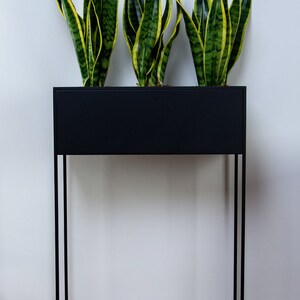 Puede incluir: Un soporte de plantas de metal negro con una jardinera rectangular. La jardinera est&aacute; llena de tres plantas serpiente con hojas verdes y amarillas rayadas.