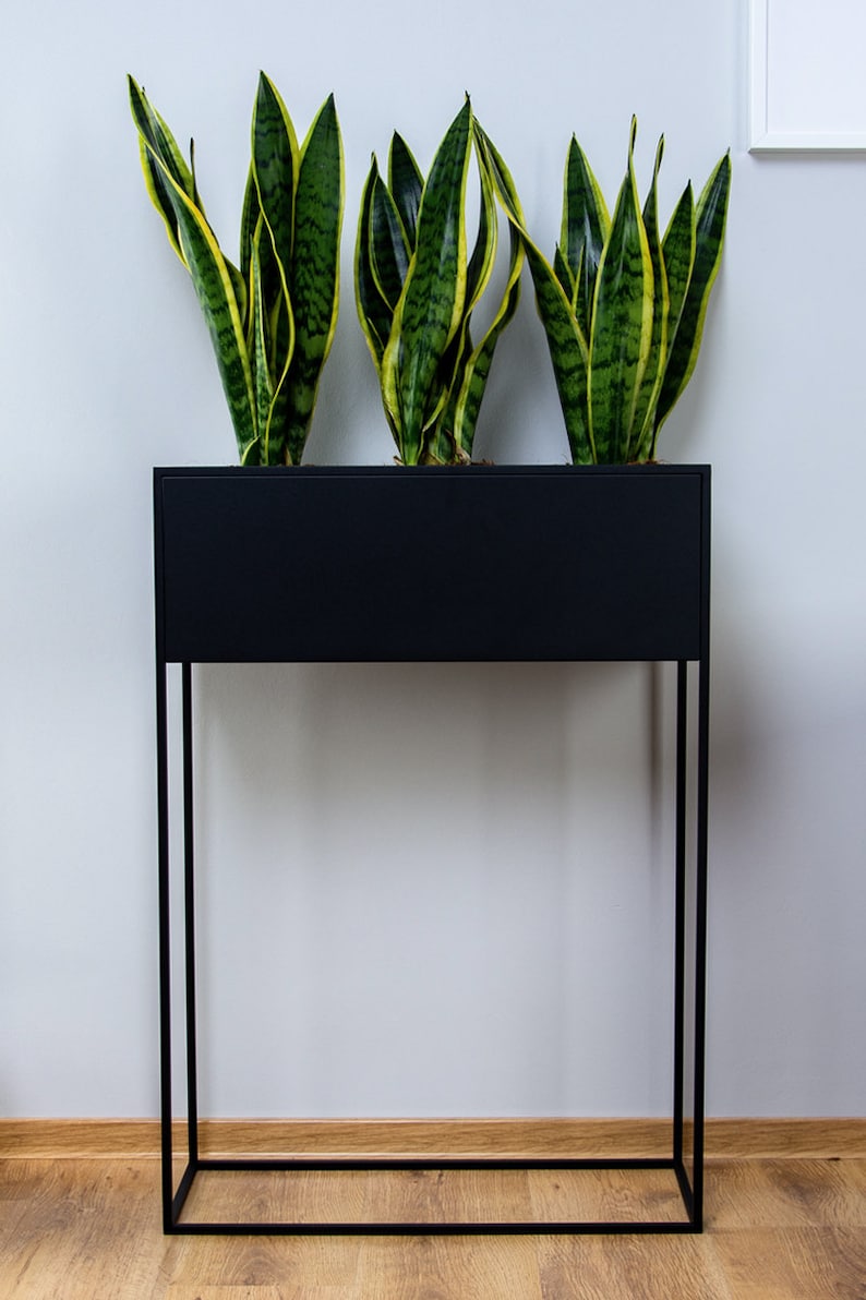 Puede incluir: Un soporte de plantas de metal negro con una jardinera rectangular. La jardinera est&aacute; llena de tres plantas serpiente con hojas verdes y amarillas rayadas.