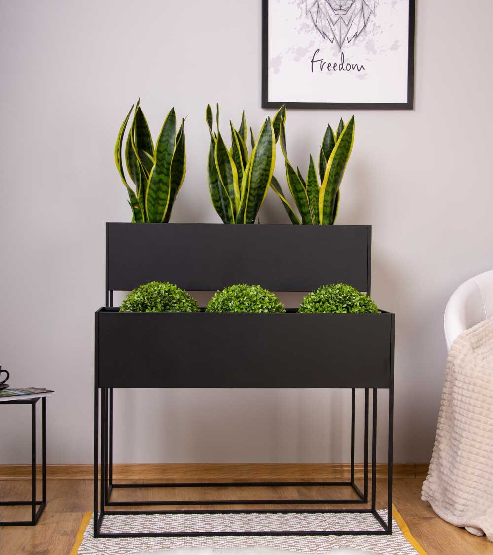Freedom cheap plant stand