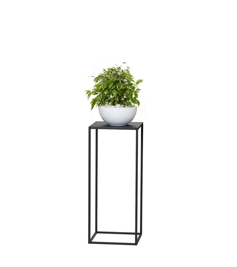 May include: A small, leafy green plant with white-edged leaves in a white ceramic bowl, set on a black metal plant stand. The stand is a tall, square design, perfect for displaying indoor plants. The plant stand is 30 inches tall.
