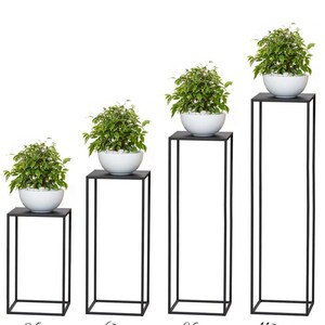 May include: Four black metal plant stands of varying heights, each supporting a white bowl filled with a green and white plant. The stands are labeled with their heights in centimeters: 35 cm, 60 cm, 85 cm, and 110 cm.
