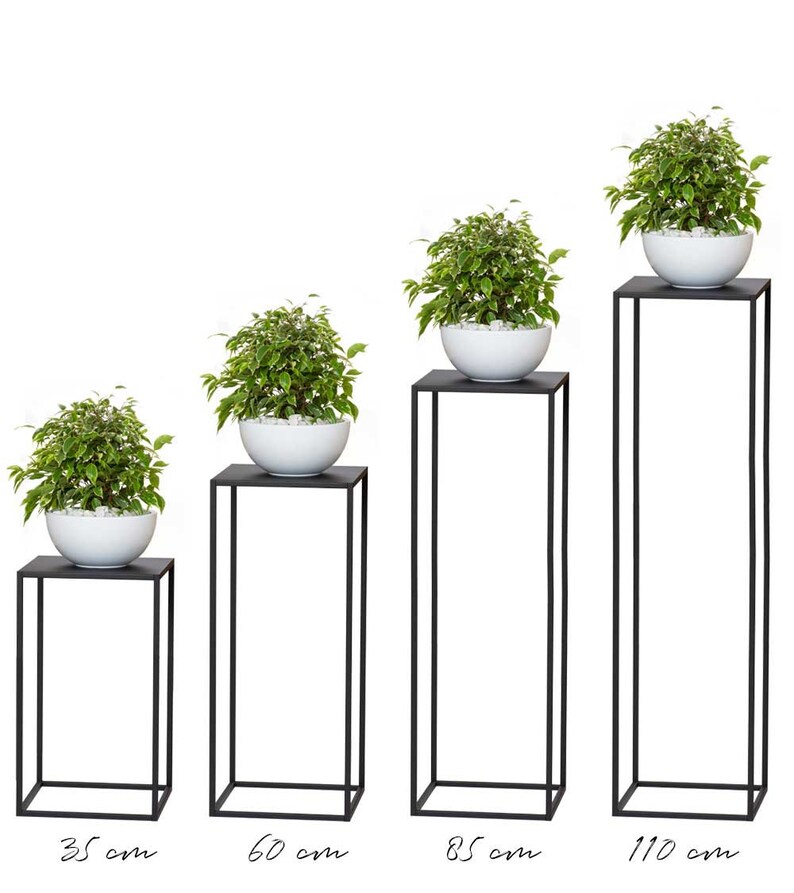 May include: Four black metal plant stands of varying heights, each supporting a white bowl filled with a green and white plant. The stands are labeled with their heights in centimeters: 35 cm, 60 cm, 85 cm, and 110 cm.