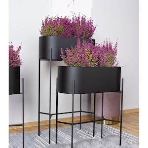 May include: Black metal planters filled with purple flowering plants. The planters are rectangular and stand on tall, slender black metal legs. The arrangement includes three planters of different heights, creating a tiered display. The background features a flamingo art print.